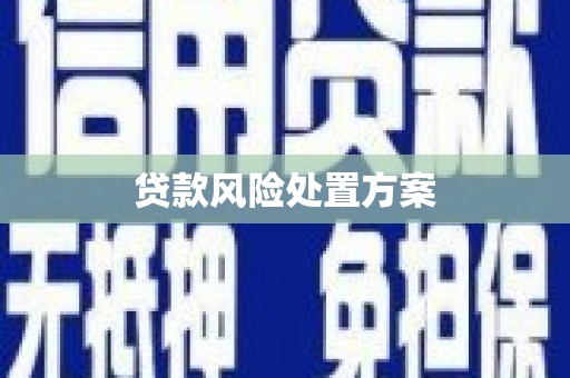 辽源贷款风险处置方案