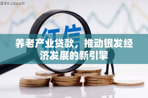 辽源养老产业贷款，推动银发经济发展的新引擎