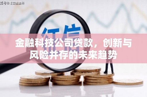 辽源金融科技公司贷款，创新与风险并存的未来趋势