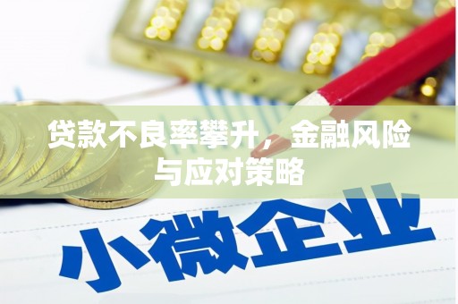 辽源贷款不良率攀升，金融风险与应对策略