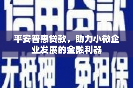 辽源平安普惠贷款，助力小微企业发展的金融利器