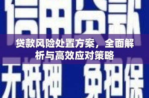 辽源贷款风险处置方案，全面解析与高效应对策略