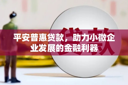 辽源平安普惠贷款，助力小微企业发展的金融利器