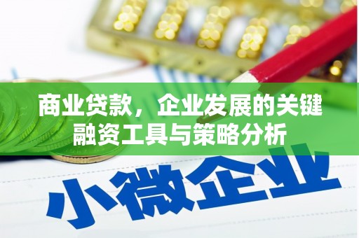 辽源商业贷款，企业发展的关键融资工具与策略分析