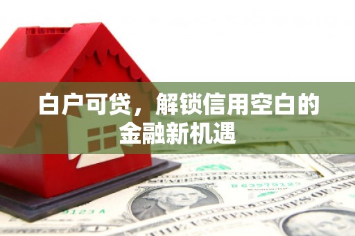 辽源白户可贷，解锁信用空白的金融新机遇