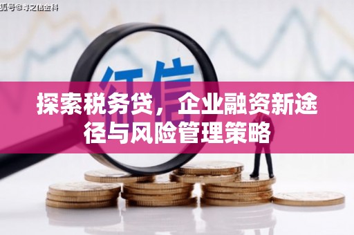 辽源探索税务贷，企业融资新途径与风险管理策略