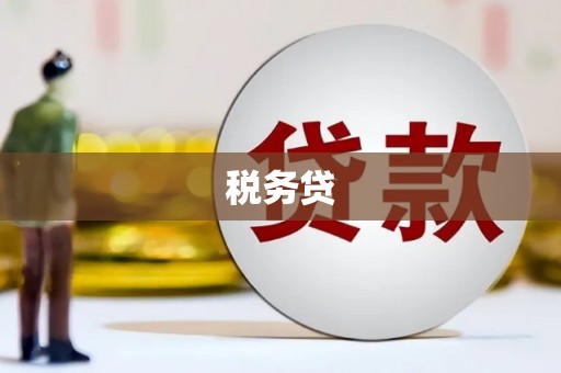 辽源税务贷