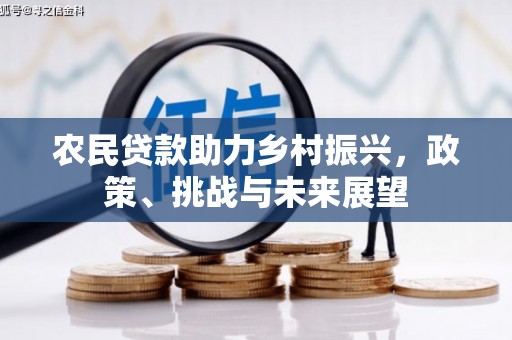 辽源农民贷款助力乡村振兴，政策、挑战与未来展望