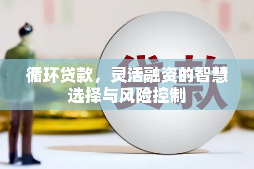 辽源循环贷款，灵活融资的智慧选择与风险控制