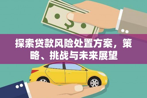 辽源探索贷款风险处置方案，策略、挑战与未来展望