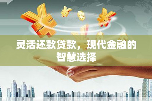 辽源灵活还款贷款，现代金融的智慧选择