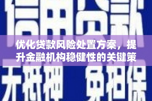 辽源优化贷款风险处置方案，提升金融机构稳健性的关键策略