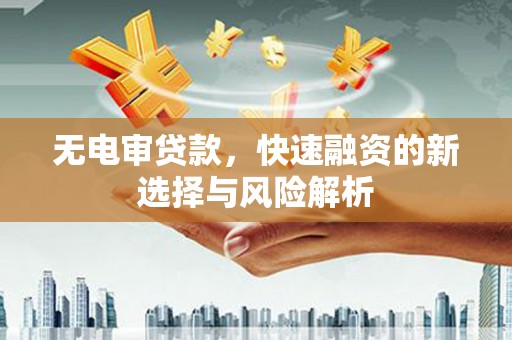 辽源无电审贷款，快速融资的新选择与风险解析