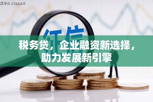 辽源税务贷，企业融资新选择，助力发展新引擎