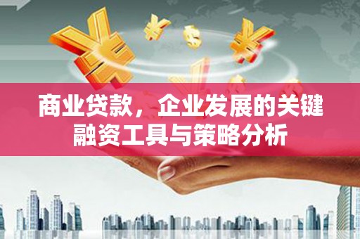 辽源商业贷款，企业发展的关键融资工具与策略分析