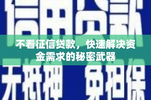 辽源不看征信贷款，快速解决资金需求的秘密武器
