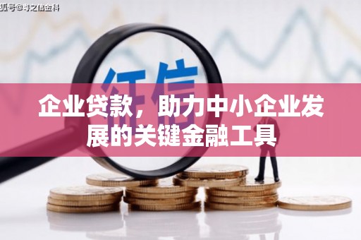 辽源企业贷款，助力中小企业发展的关键金融工具
