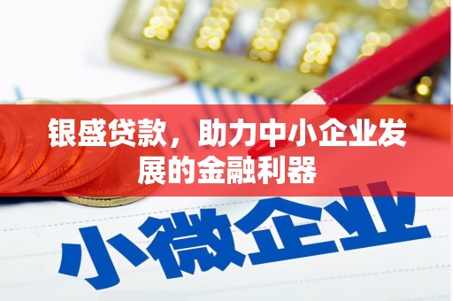 辽源银盛贷款，助力中小企业发展的金融利器
