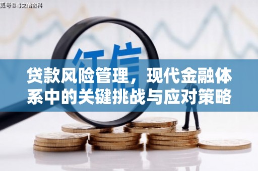 辽源贷款风险管理，现代金融体系中的关键挑战与应对策略