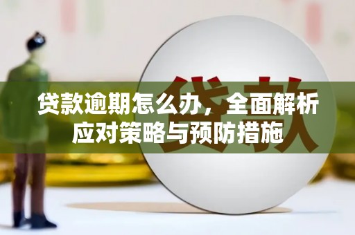 辽源贷款逾期怎么办，全面解析应对策略与预防措施