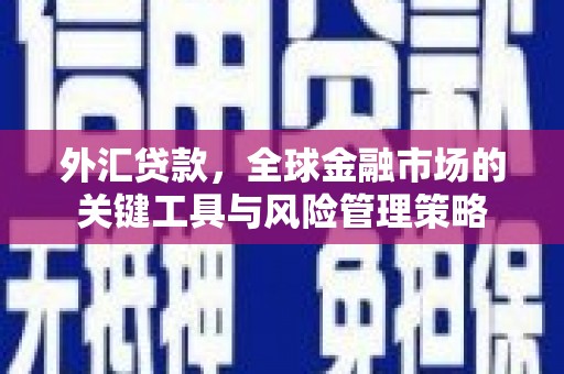 辽源外汇贷款，全球金融市场的关键工具与风险管理策略