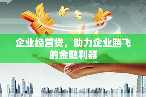 辽源企业经营贷，助力企业腾飞的金融利器