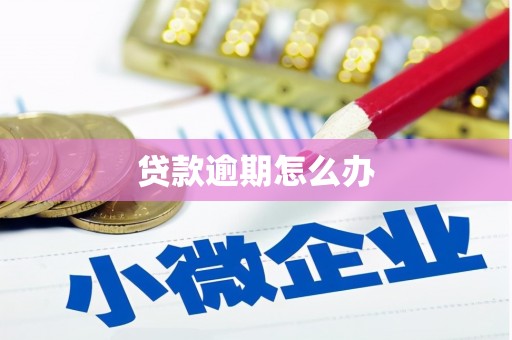 辽源贷款逾期怎么办
