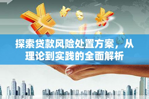 辽源探索贷款风险处置方案，从理论到实践的全面解析