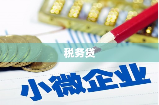 辽源税务贷