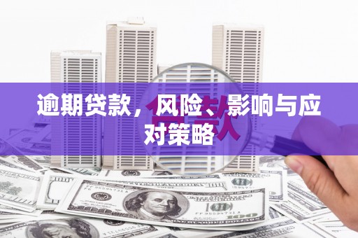辽源逾期贷款，风险、影响与应对策略