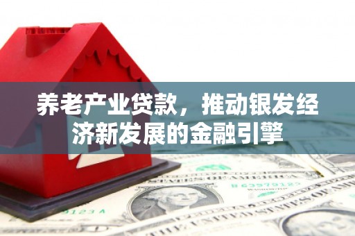 辽源养老产业贷款，推动银发经济新发展的金融引擎