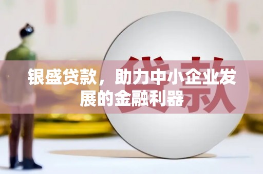辽源银盛贷款，助力中小企业发展的金融利器