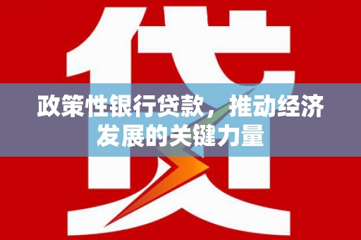辽源政策性银行贷款，推动经济发展的关键力量