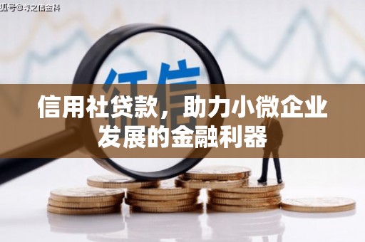 辽源信用社贷款，助力小微企业发展的金融利器