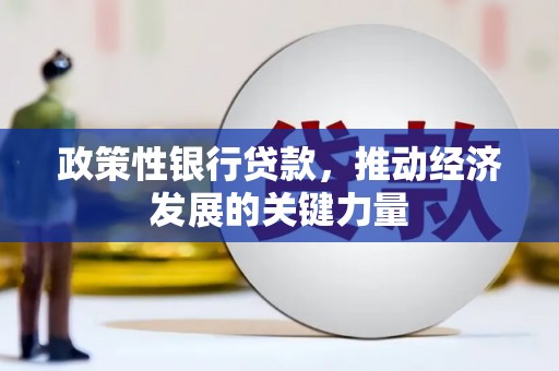 辽源政策性银行贷款，推动经济发展的关键力量