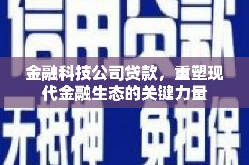 辽源金融科技公司贷款，重塑现代金融生态的关键力量