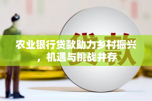 辽源农业银行贷款助力乡村振兴，机遇与挑战并存