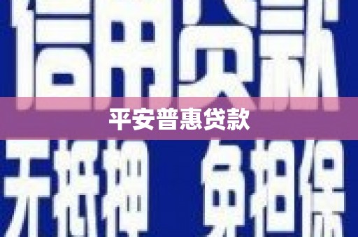 辽源平安普惠贷款