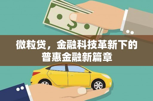 辽源微粒贷，金融科技革新下的普惠金融新篇章
