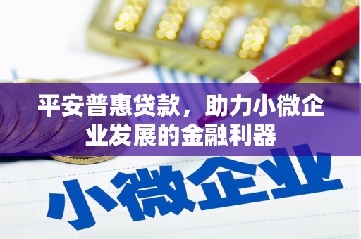 辽源平安普惠贷款，助力小微企业发展的金融利器