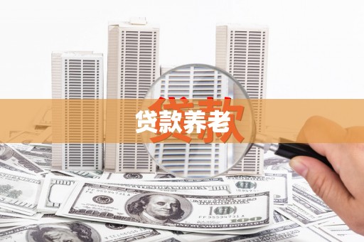 辽源贷款养老