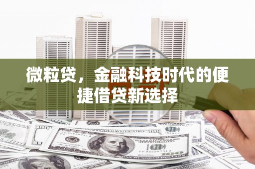 辽源微粒贷，金融科技时代的便捷借贷新选择