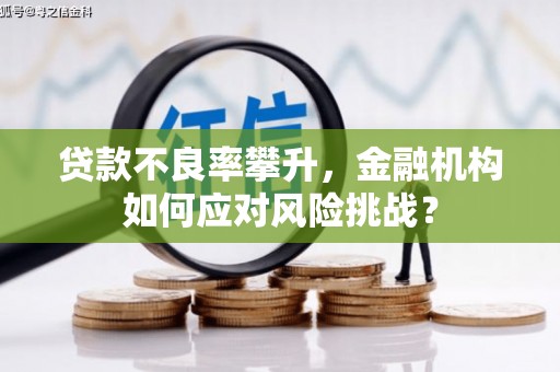 辽源贷款不良率攀升，金融机构如何应对风险挑战？