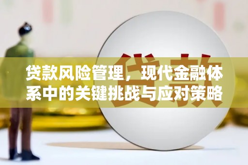 辽源贷款风险管理，现代金融体系中的关键挑战与应对策略