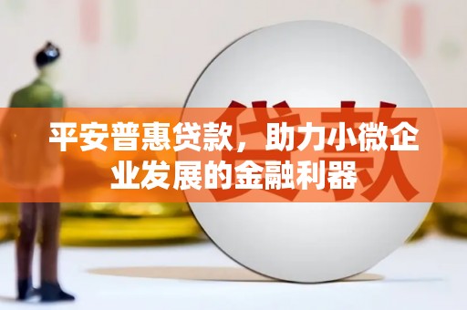辽源平安普惠贷款，助力小微企业发展的金融利器