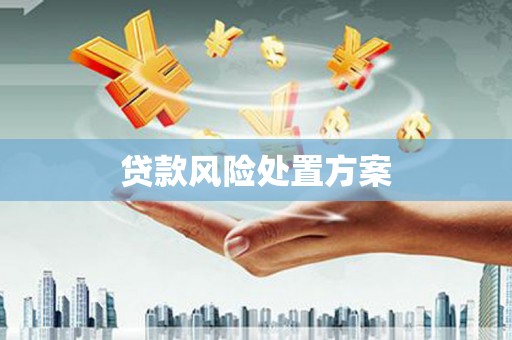 辽源贷款风险处置方案