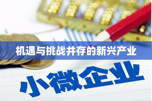 辽源机遇与挑战并存的新兴产业