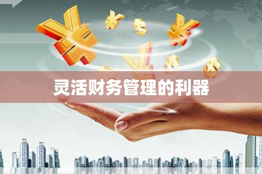 辽源灵活财务管理的利器