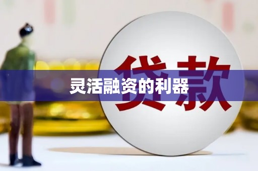 辽源灵活融资的利器