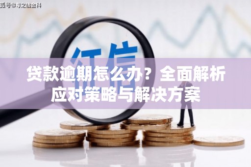 辽源贷款逾期怎么办？全面解析应对策略与解决方案